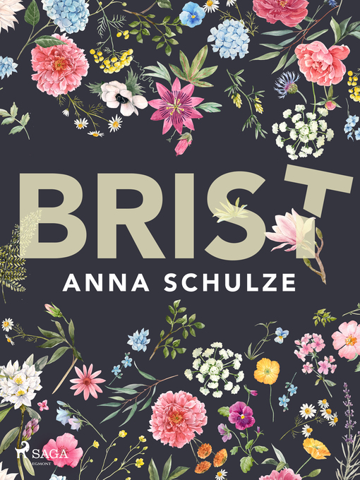 Titeldetaljer för Brist av Anna Schulze - Tillgänglig